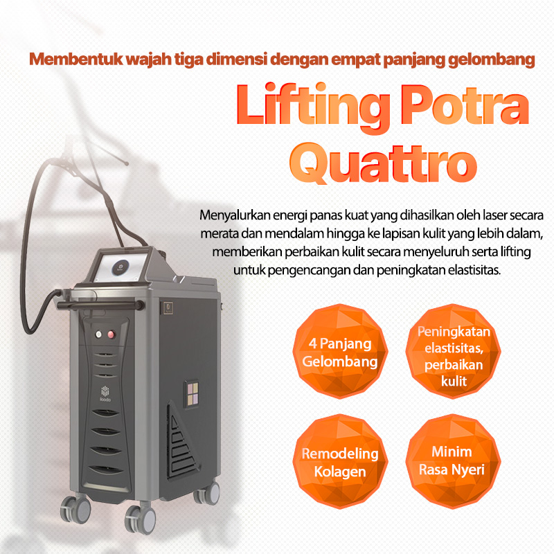 Lifting Potra Quatro - Busan Somyeon